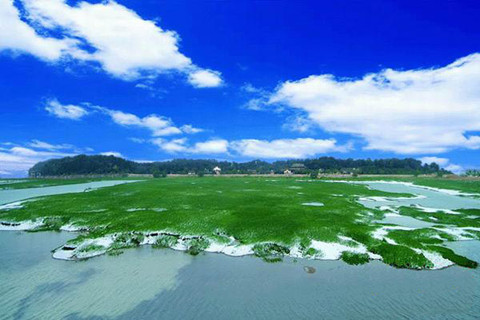 Junshan island